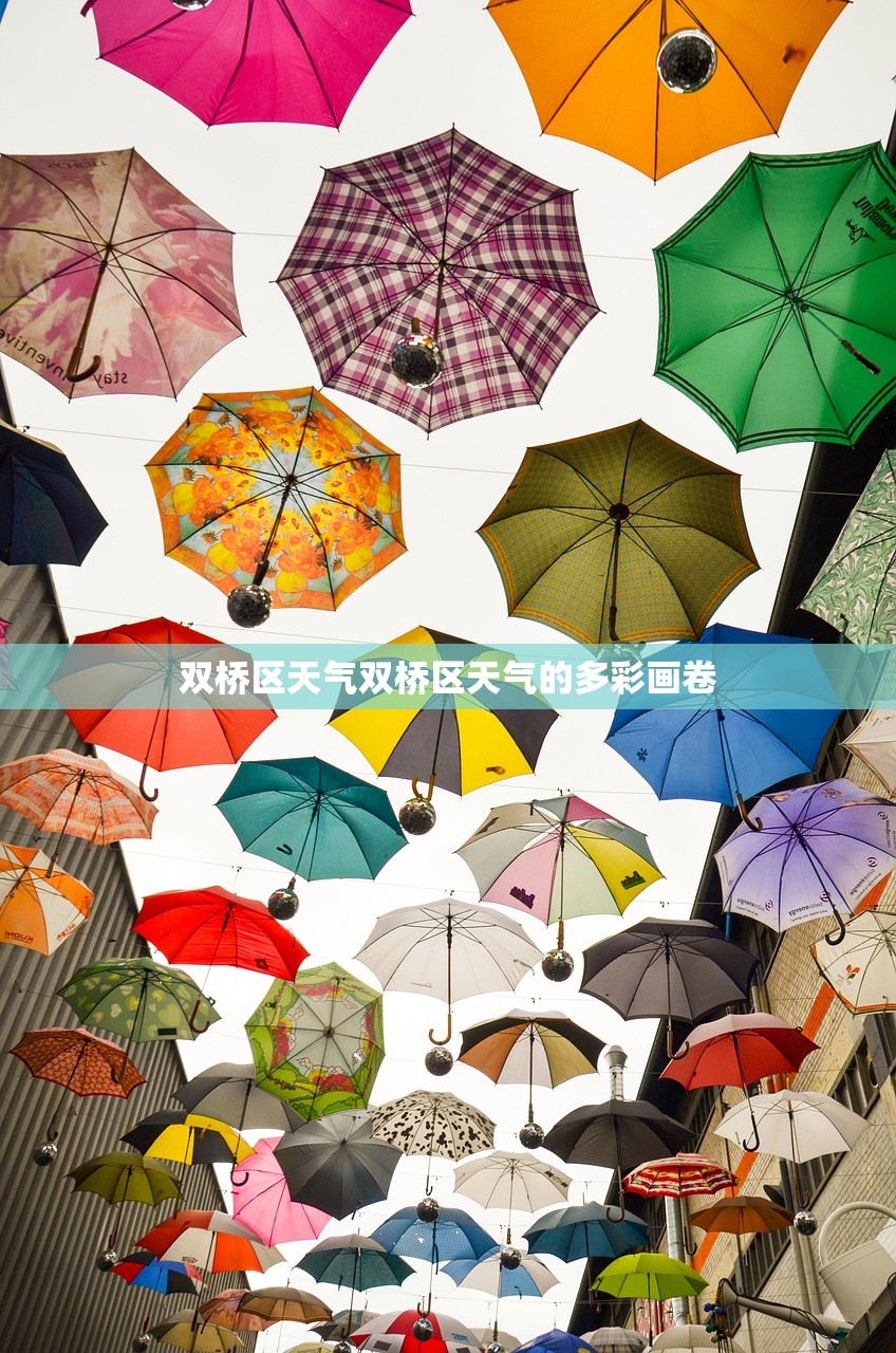 双桥区天气双桥区天气的多彩画卷  第1张