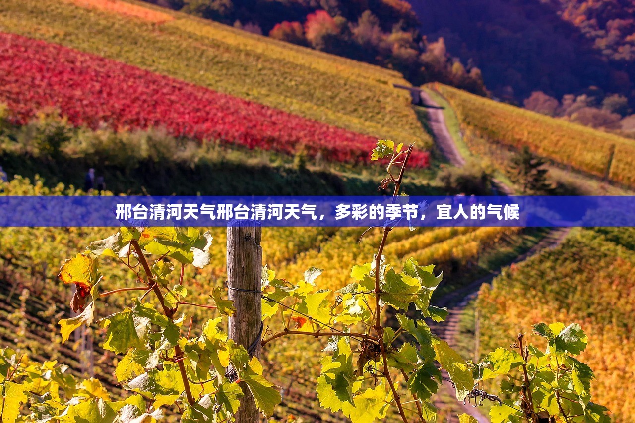 邢台清河天气邢台清河天气，多彩的季节，宜人的气候  第1张