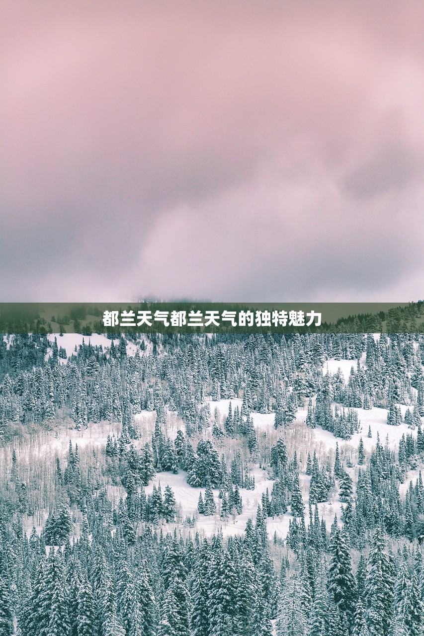 都兰天气都兰天气的独特魅力  第1张