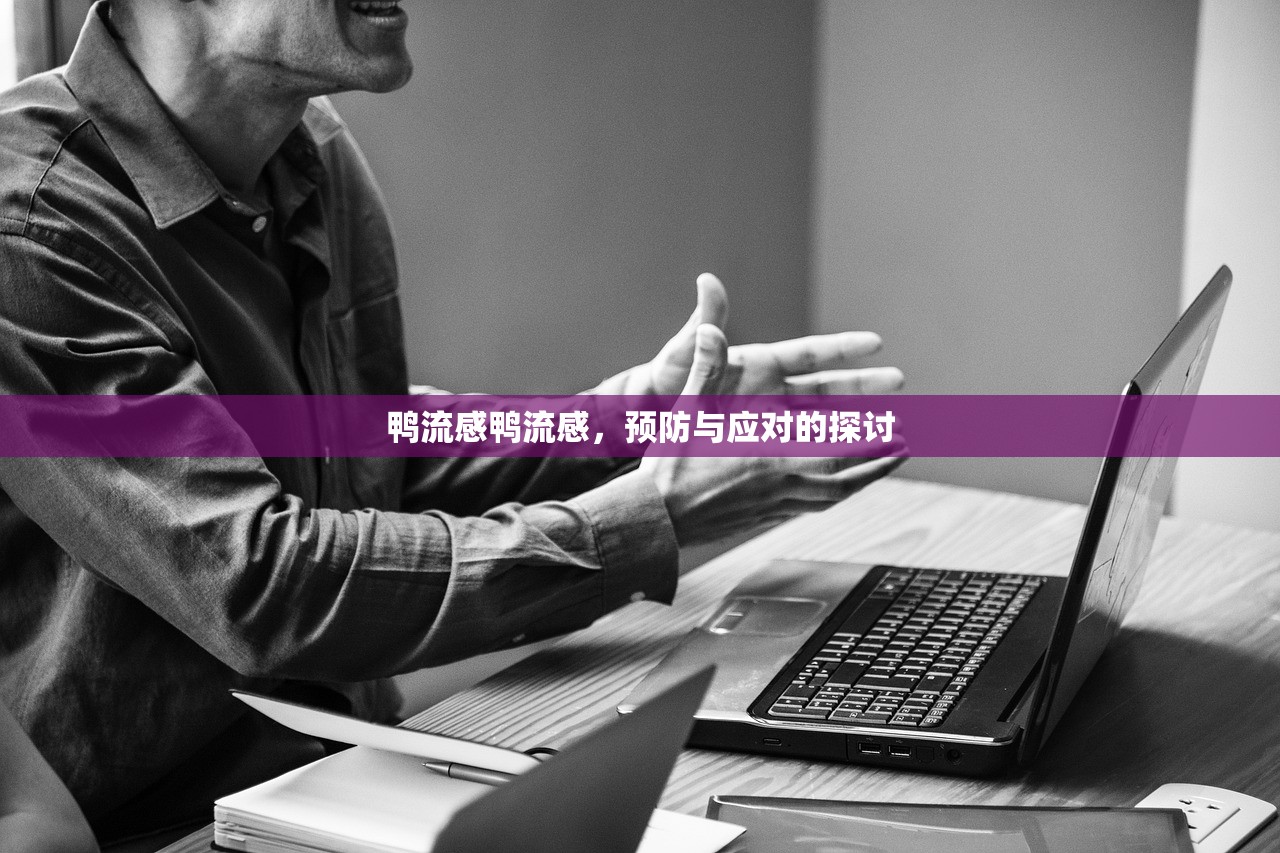 鸭流感鸭流感，预防与应对的探讨  第1张