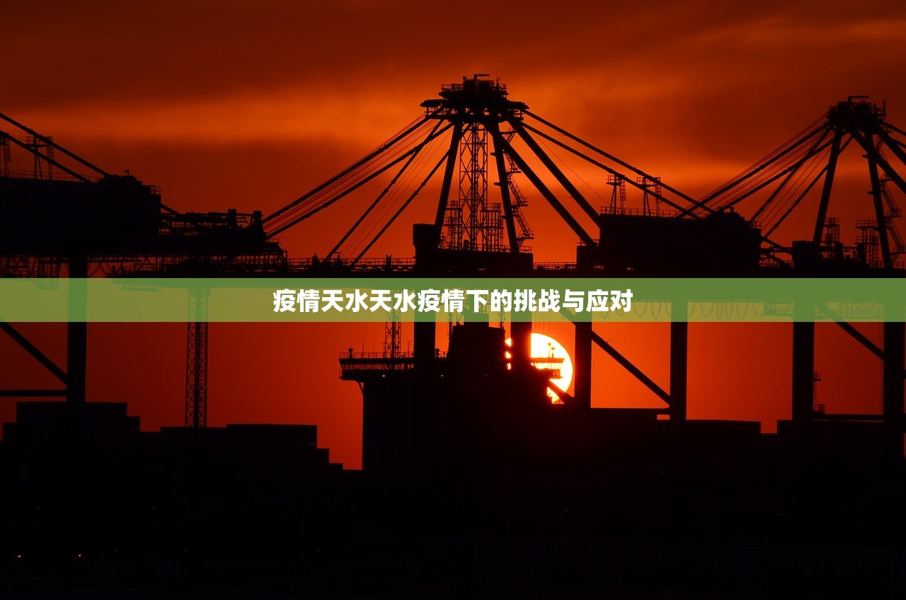 疫情天水天水疫情下的挑战与应对  第1张