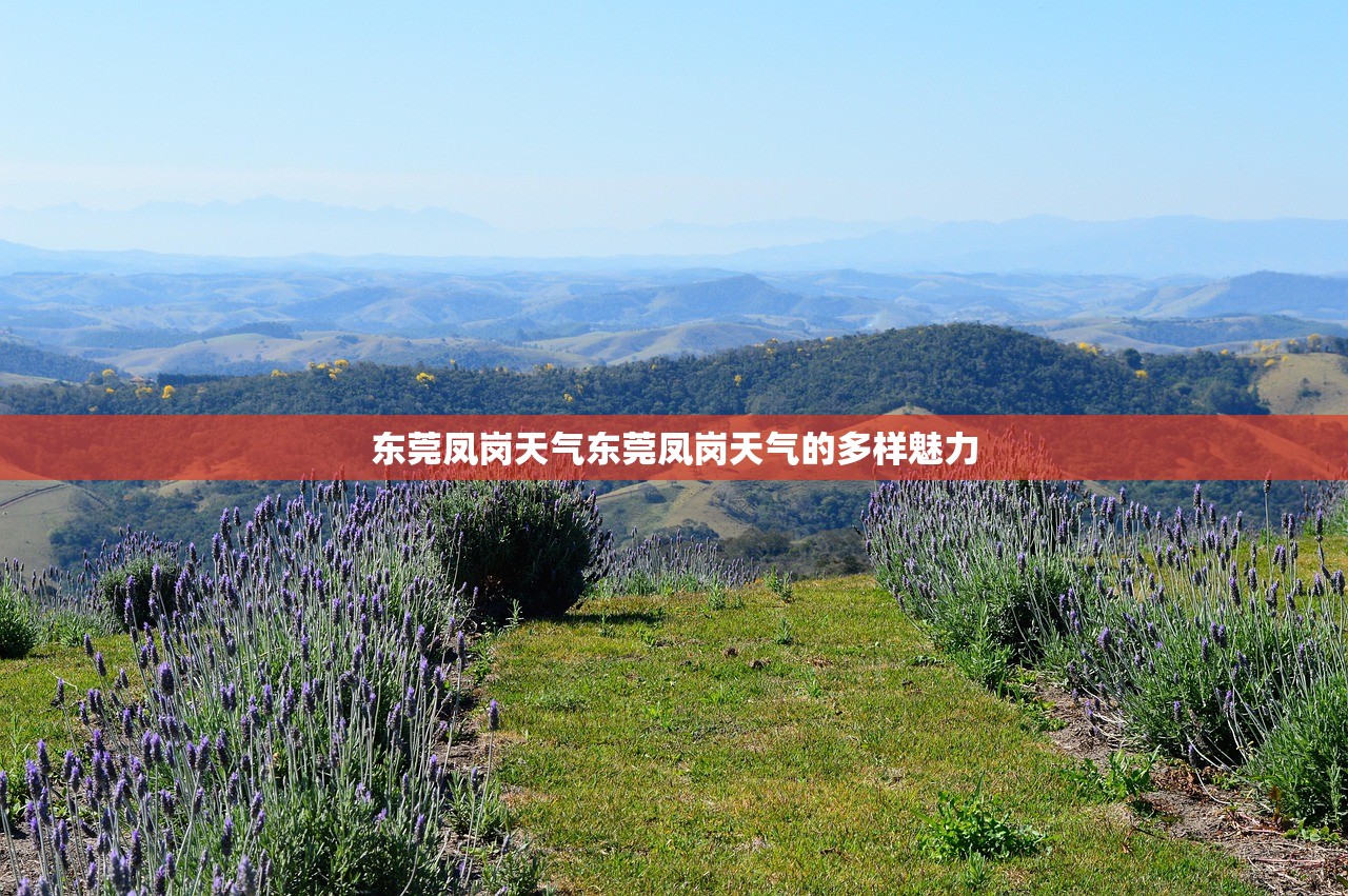 东莞凤岗天气东莞凤岗天气的多样魅力  第1张