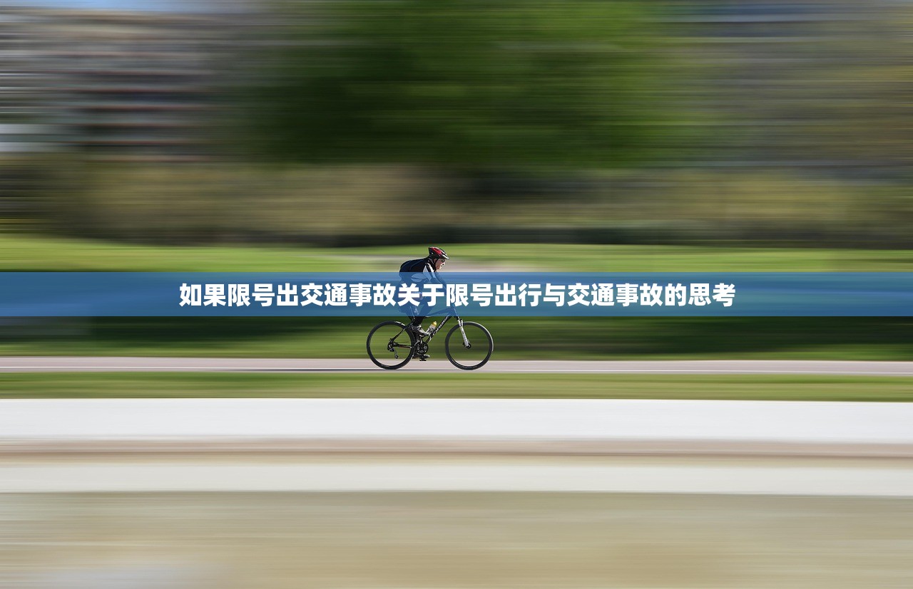 如果限号出交通事故关于限号出行与交通事故的思考  第1张