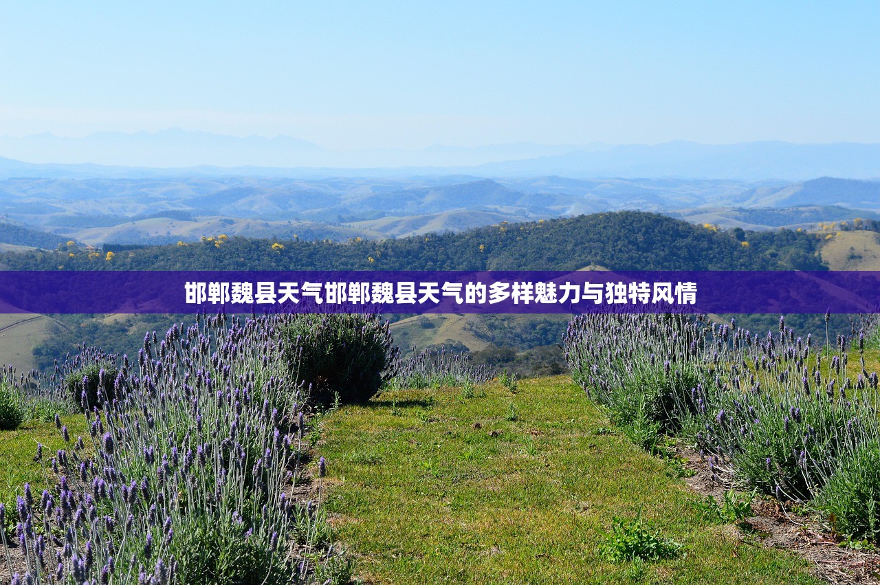 邯郸魏县天气邯郸魏县天气的多样魅力与独特风情  第1张