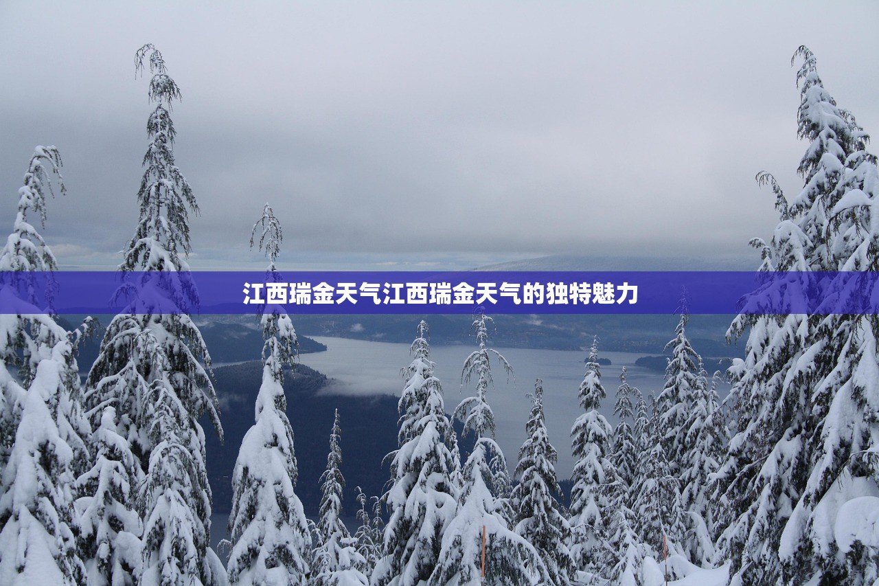 江西瑞金天气江西瑞金天气的独特魅力  第1张