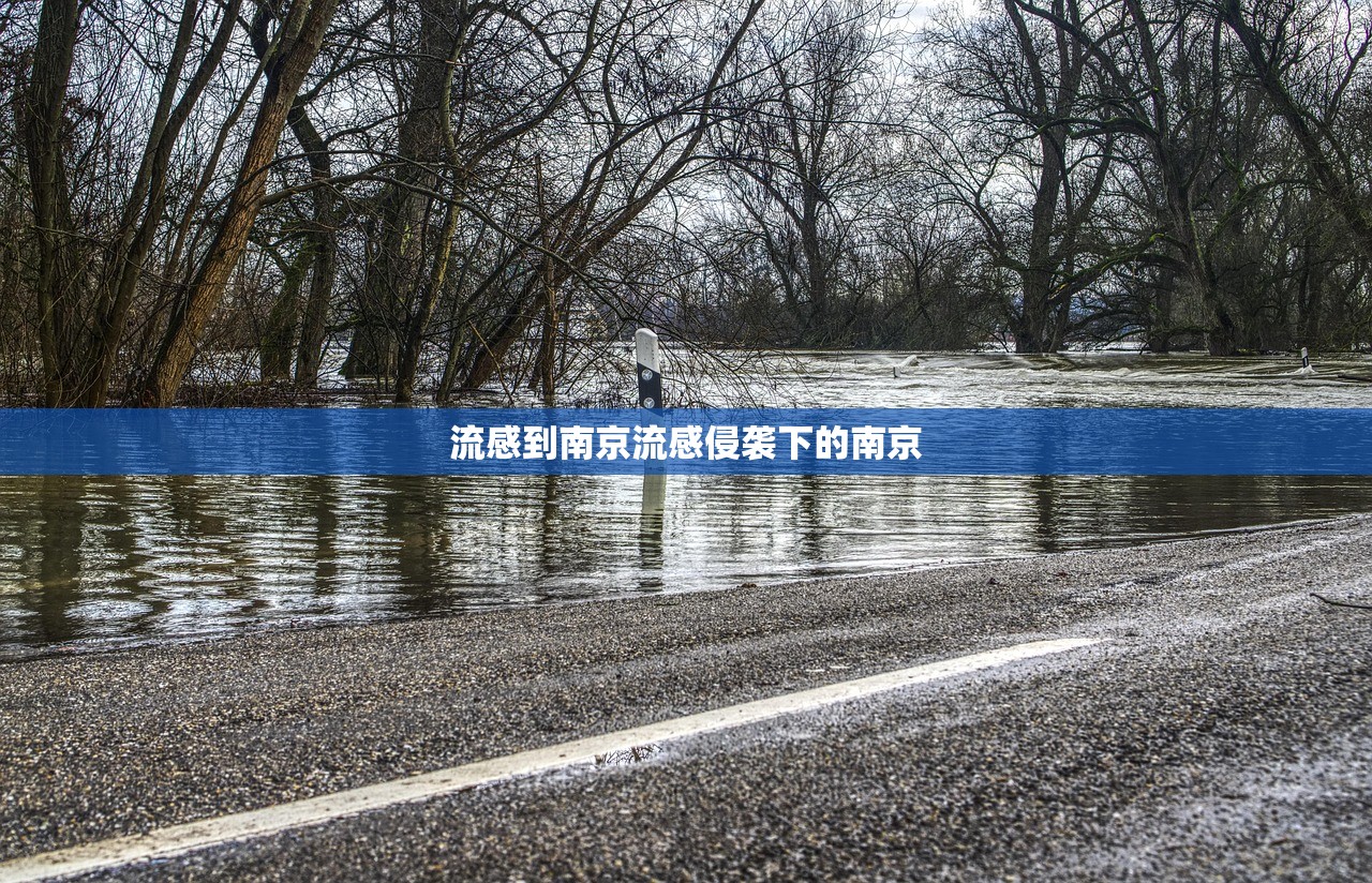 流感到南京流感侵袭下的南京  第1张