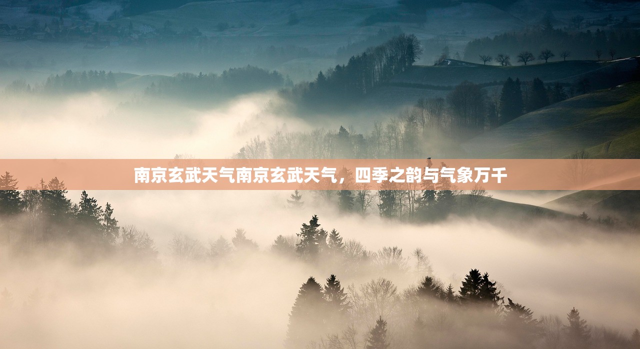 南京玄武天气南京玄武天气，四季之韵与气象万千  第1张