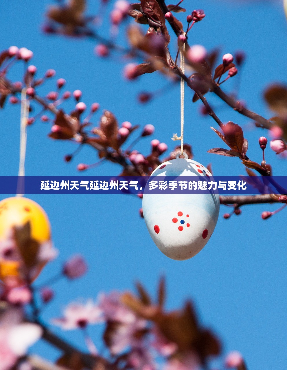 延边州天气延边州天气，多彩季节的魅力与变化  第1张
