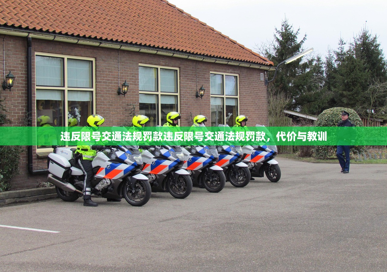 违反限号交通法规罚款违反限号交通法规罚款,代价与教训 第1张 违反限号交通法规罚款违反限号交通法规罚款,代价与教训 第1张