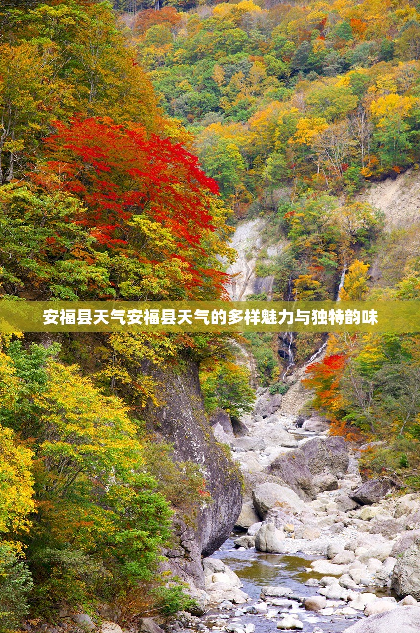 安福县天气安福县天气的多样魅力与独特韵味  第1张