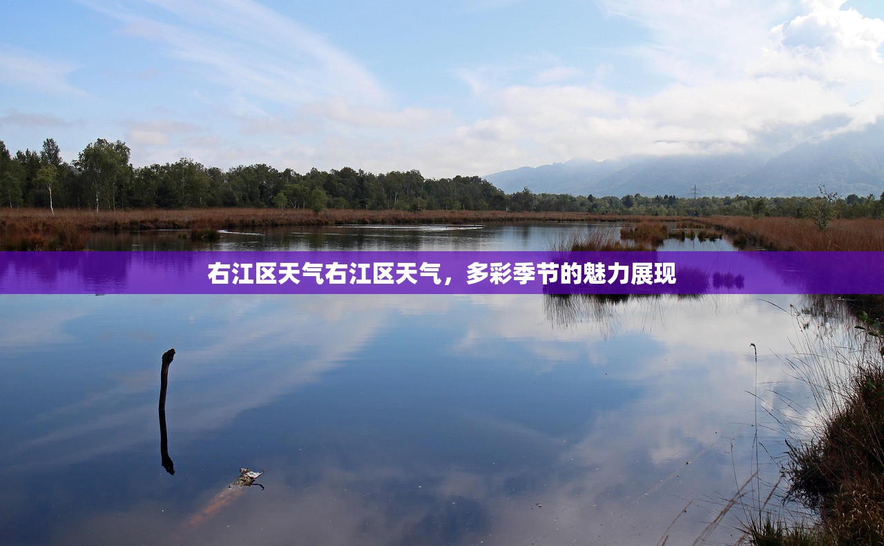 右江区天气右江区天气，多彩季节的魅力展现  第1张