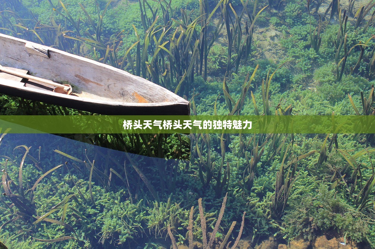 桥头天气桥头天气的独特魅力  第1张
