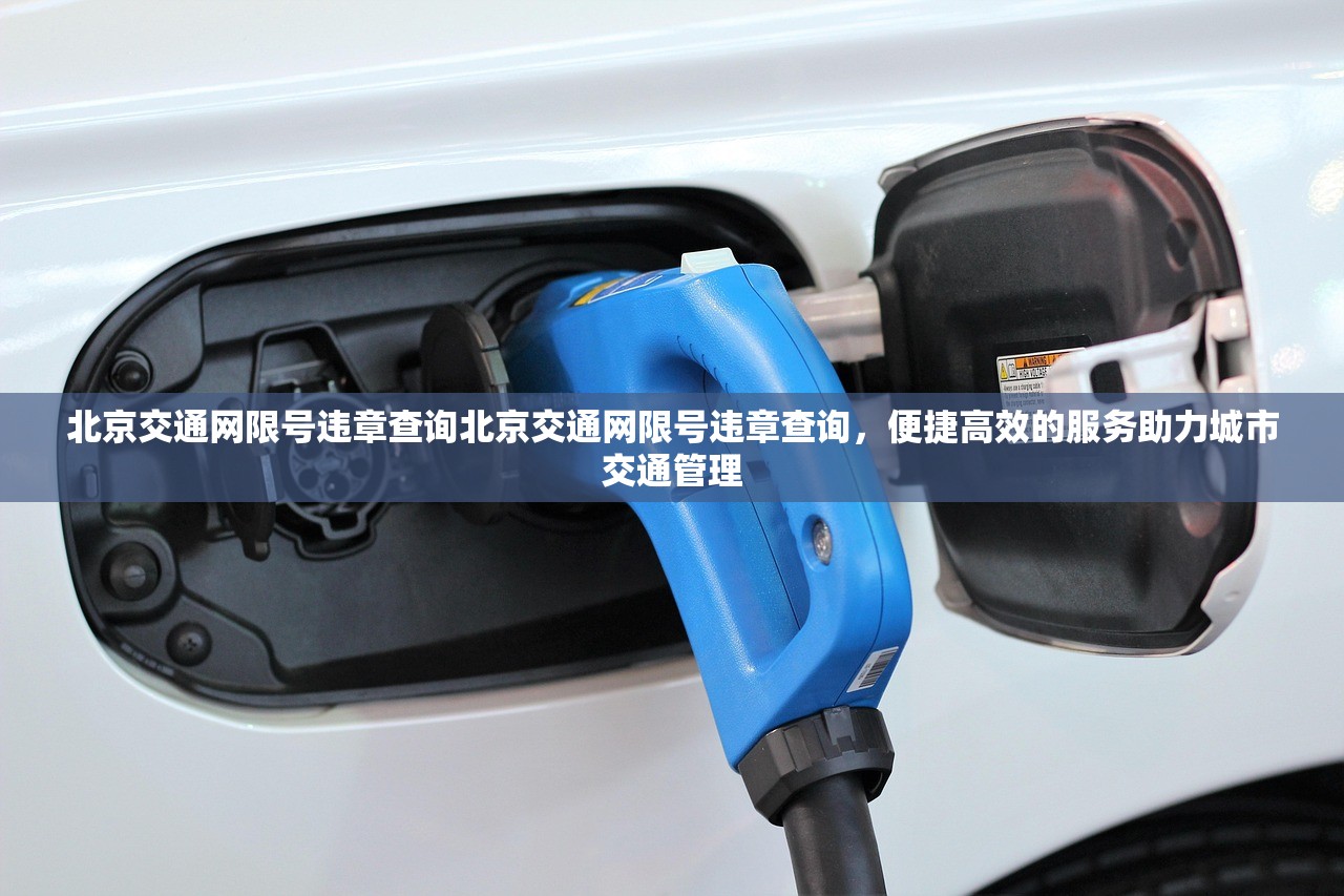 北京交通网限号违章查询北京交通网限号违章查询，便捷高效的服务助力城市交通管理  第1张