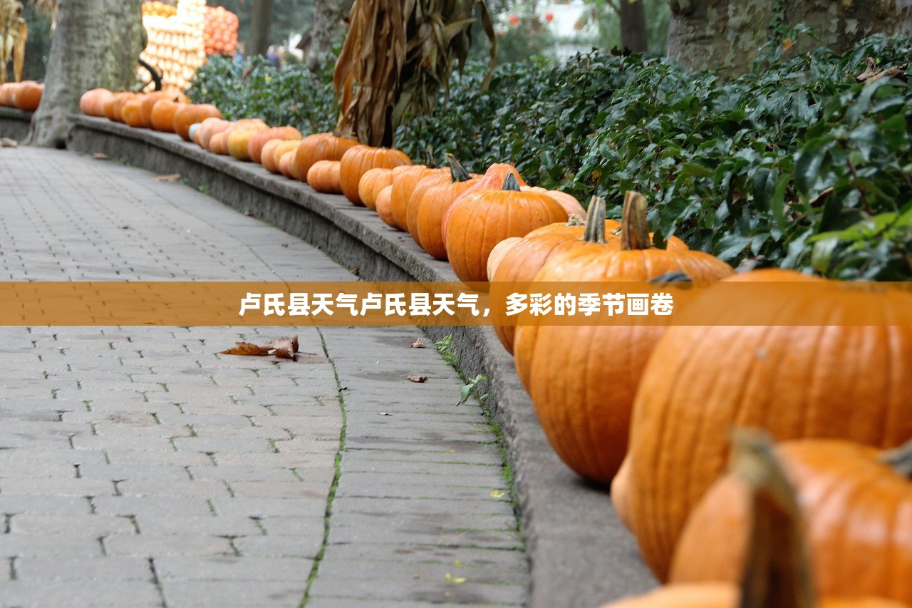 卢氏县天气卢氏县天气，多彩的季节画卷  第1张