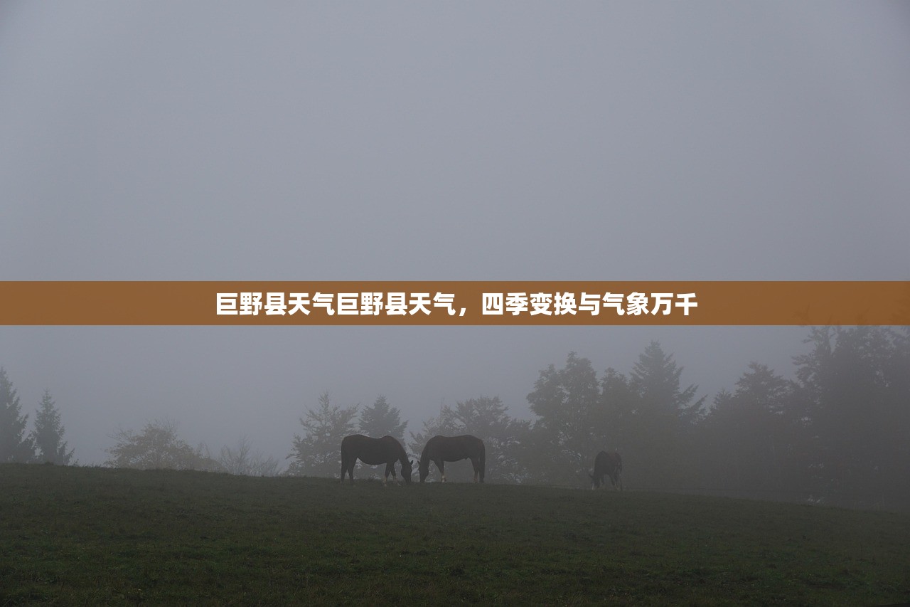巨野县天气巨野县天气，四季变换与气象万千  第1张
