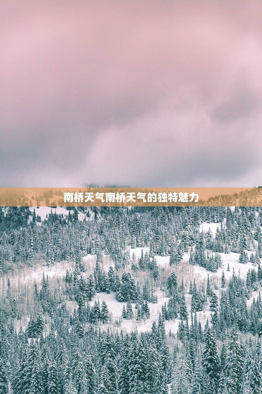 南桥天气南桥天气的独特魅力  第1张