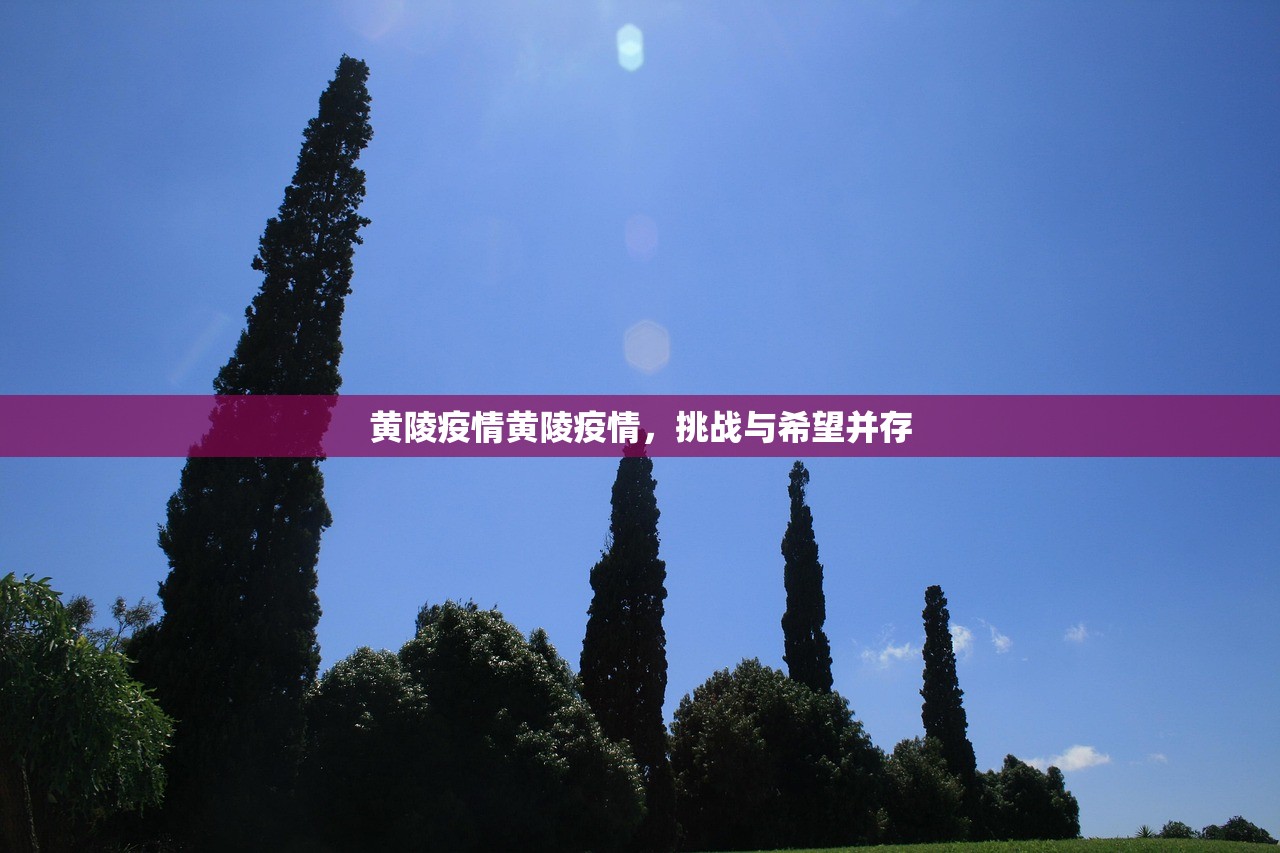 黄陵疫情黄陵疫情，挑战与希望并存  第1张