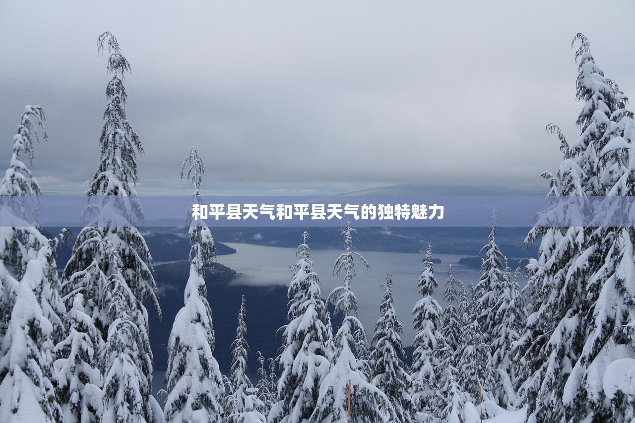 和平县天气和平县天气的独特魅力  第1张