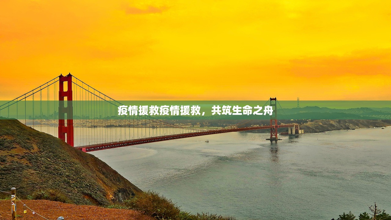 疫情援救疫情援救，共筑生命之舟  第1张
