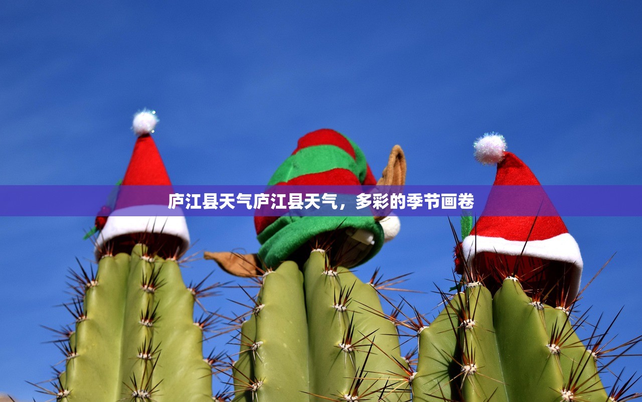 庐江县天气庐江县天气，多彩的季节画卷  第1张