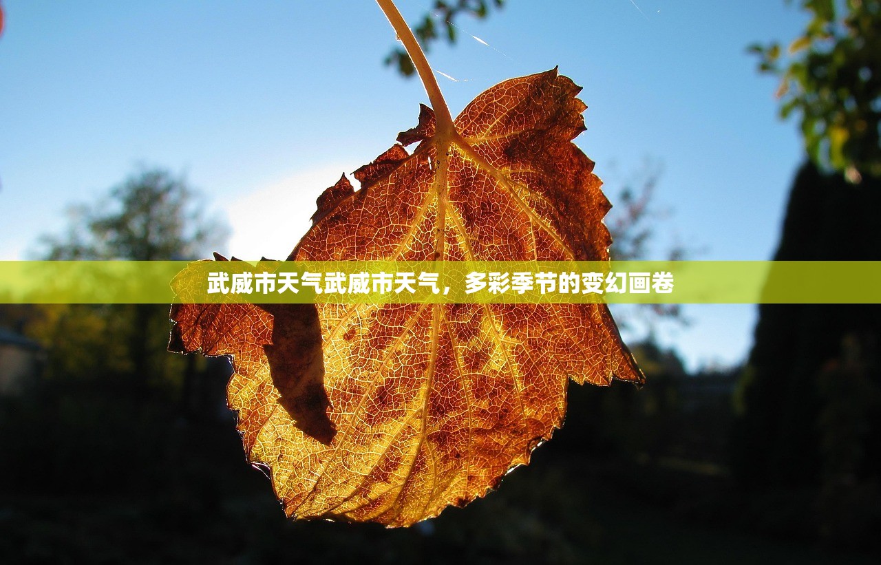 武威市天气武威市天气，多彩季节的变幻画卷  第1张