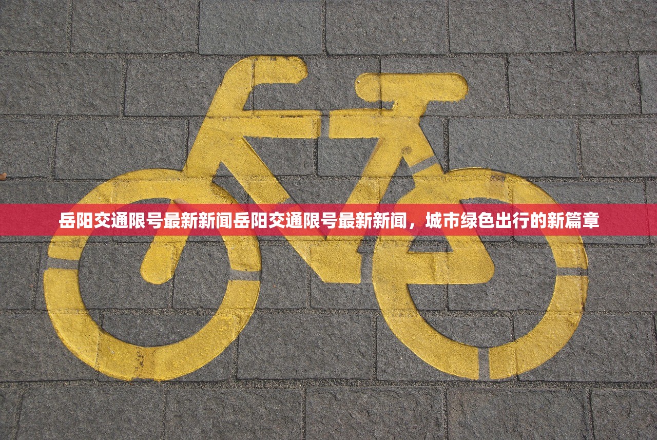 岳阳交通限号最新新闻岳阳交通限号最新新闻，城市绿色出行的新篇章  第1张
