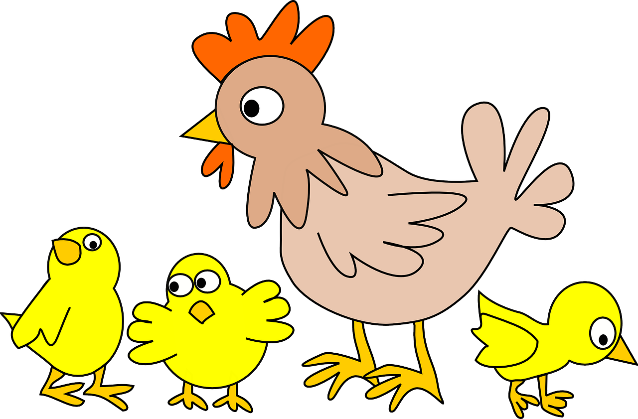 h7n9禽流感应急流程H7N9禽流感应急流程，预防、响应与控制的实践指南  第2张