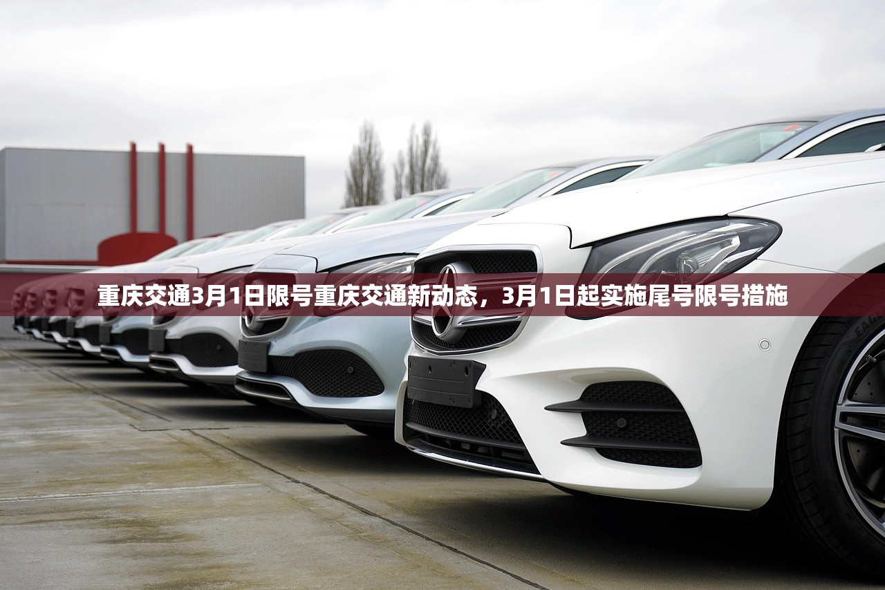 重庆交通3月1日限号重庆交通新动态,3月1日起实施尾号限号措施 第1张 重庆交通3月1日限号重庆交通新动态,3月1日起实施尾号限号措施 第1张