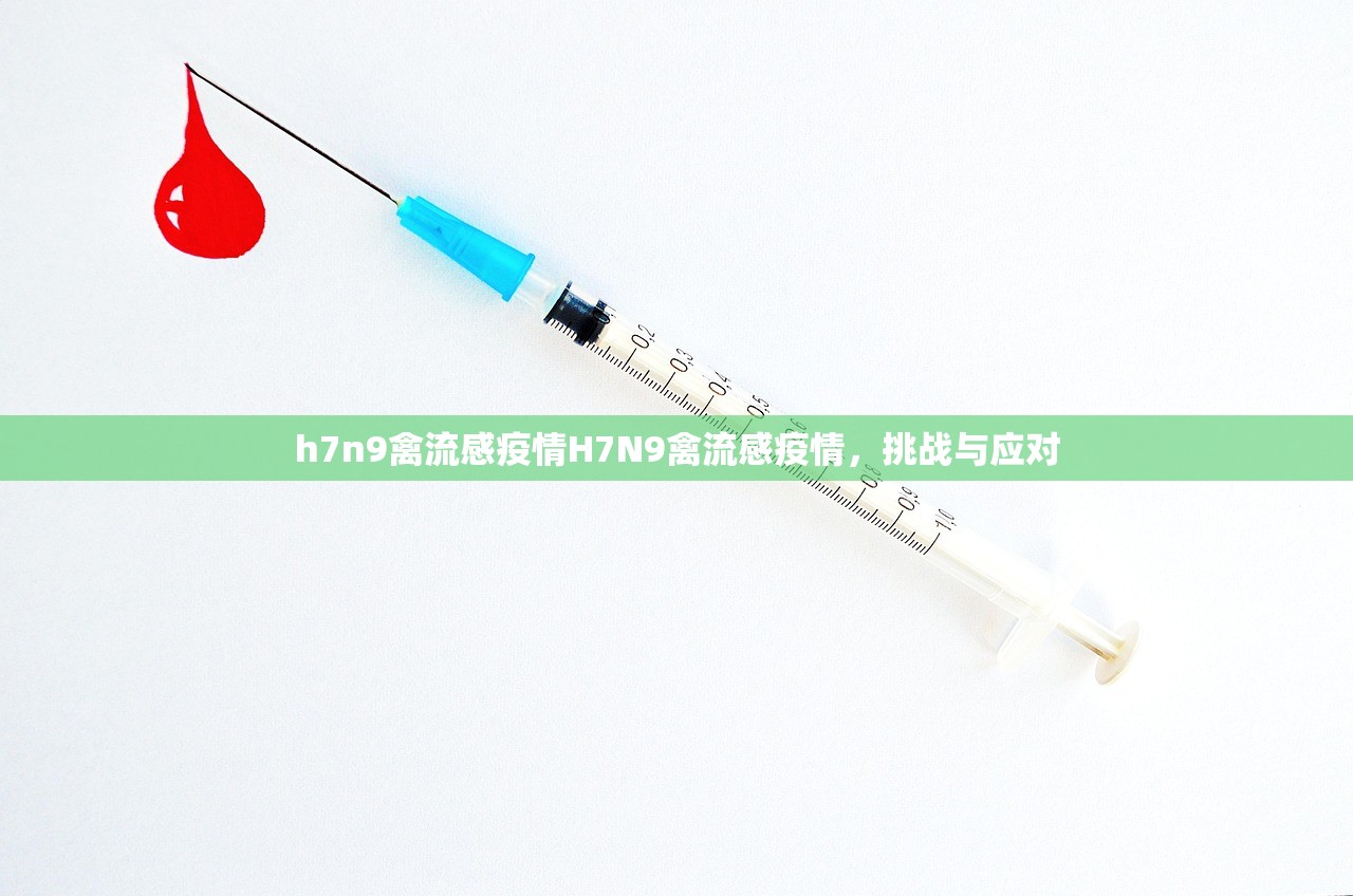 h7n9禽流感疫情H7N9禽流感疫情，挑战与应对  第1张