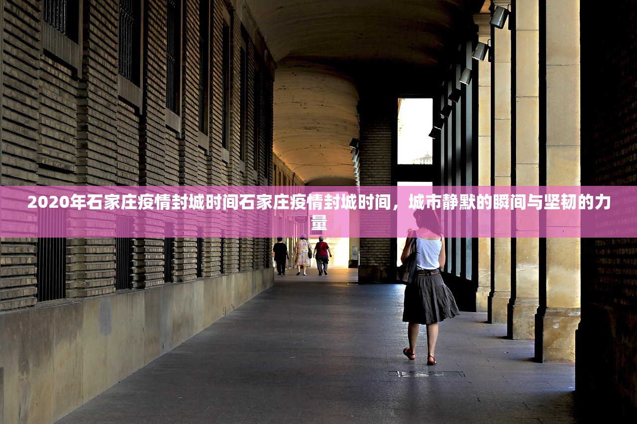2020年石家庄疫情封城时间石家庄疫情封城时间，城市静默的瞬间与坚韧的力量  第1张