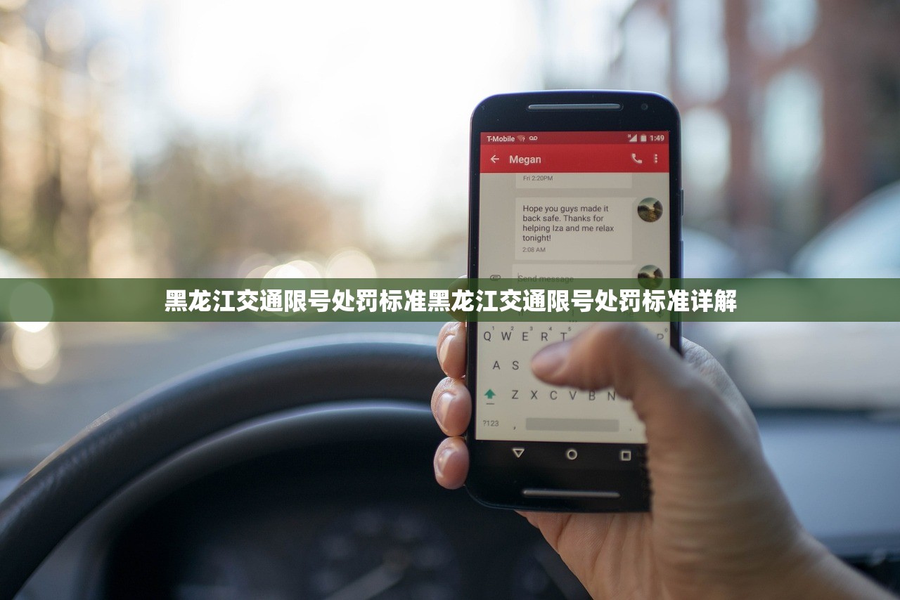 黑龙江交通限号处罚标准黑龙江交通限号处罚标准详解 第1张 黑龙江交通限号处罚标准黑龙江交通限号处罚标准详解 第1张