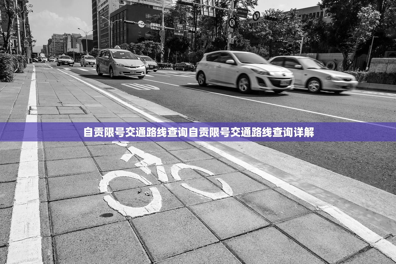 自贡限号交通路线查询自贡限号交通路线查询详解  第1张