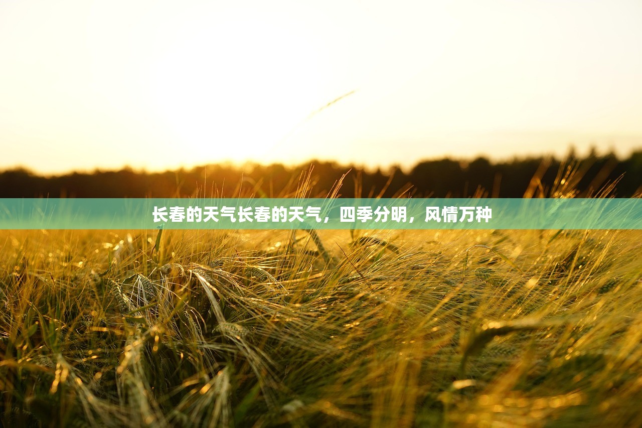 长春的天气长春的天气，四季分明，风情万种  第1张