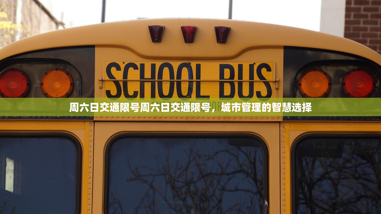 周六日交通限号周六日交通限号，城市管理的智慧选择  第1张