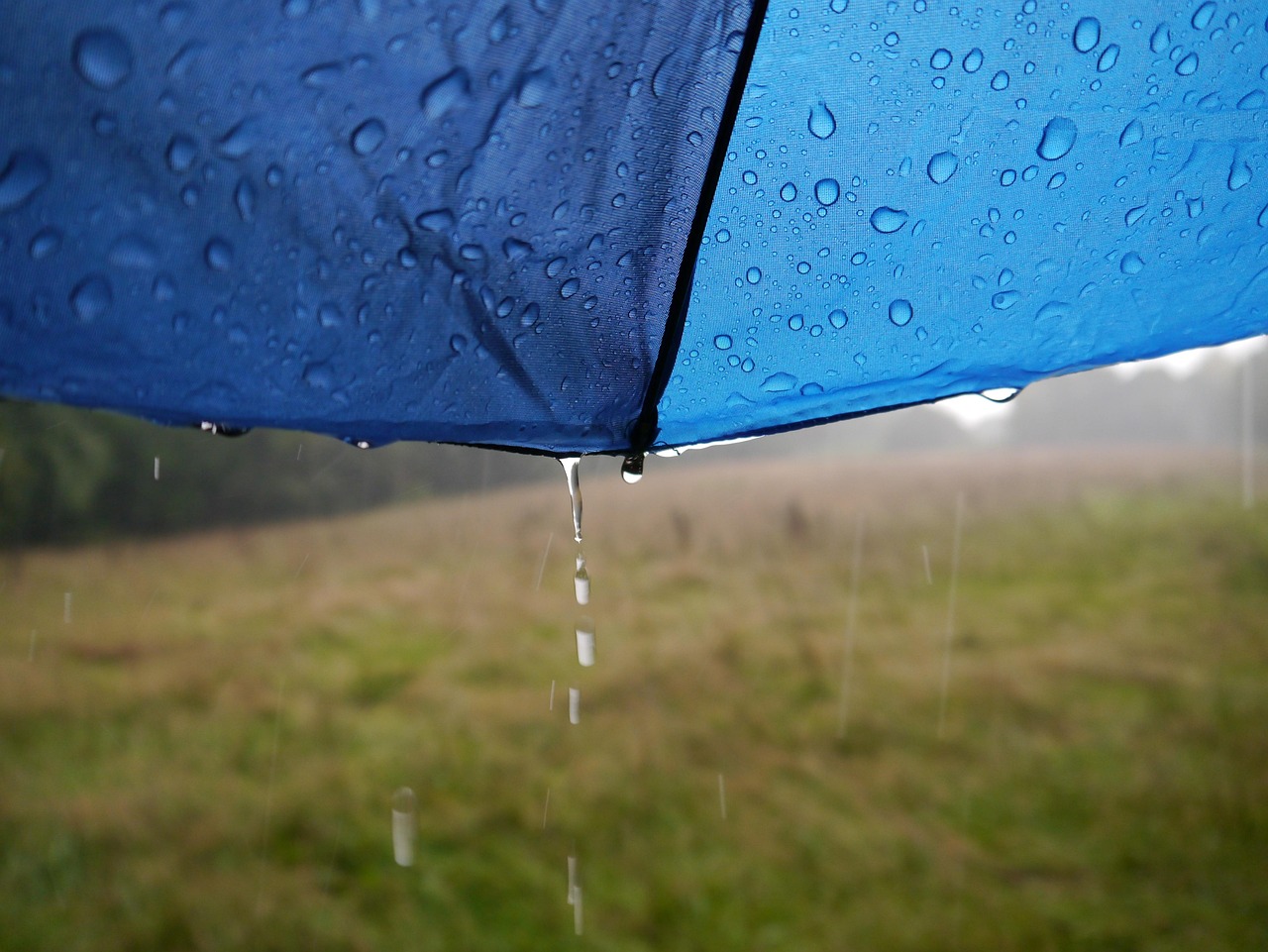 天气预报有雨天气预报有雨，如何应对与准备  第2张