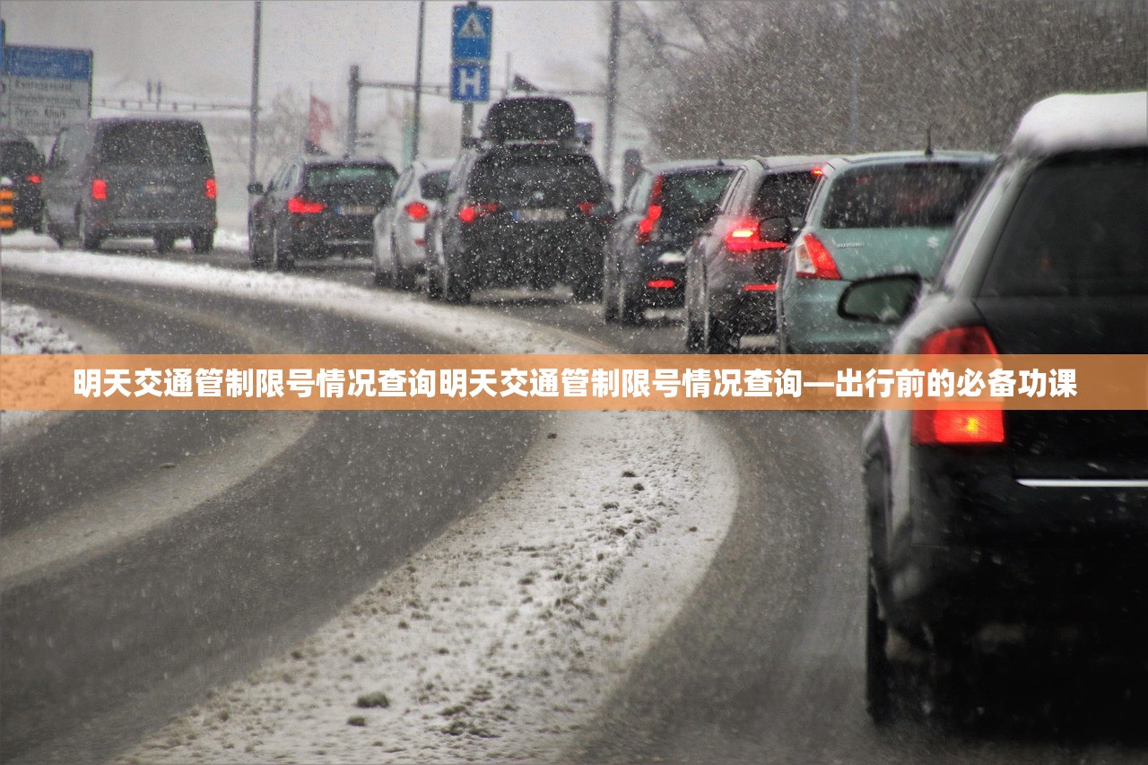 明天交通管制限号情况查询明天交通管制限号情况查询—出行前的必备功课  第1张