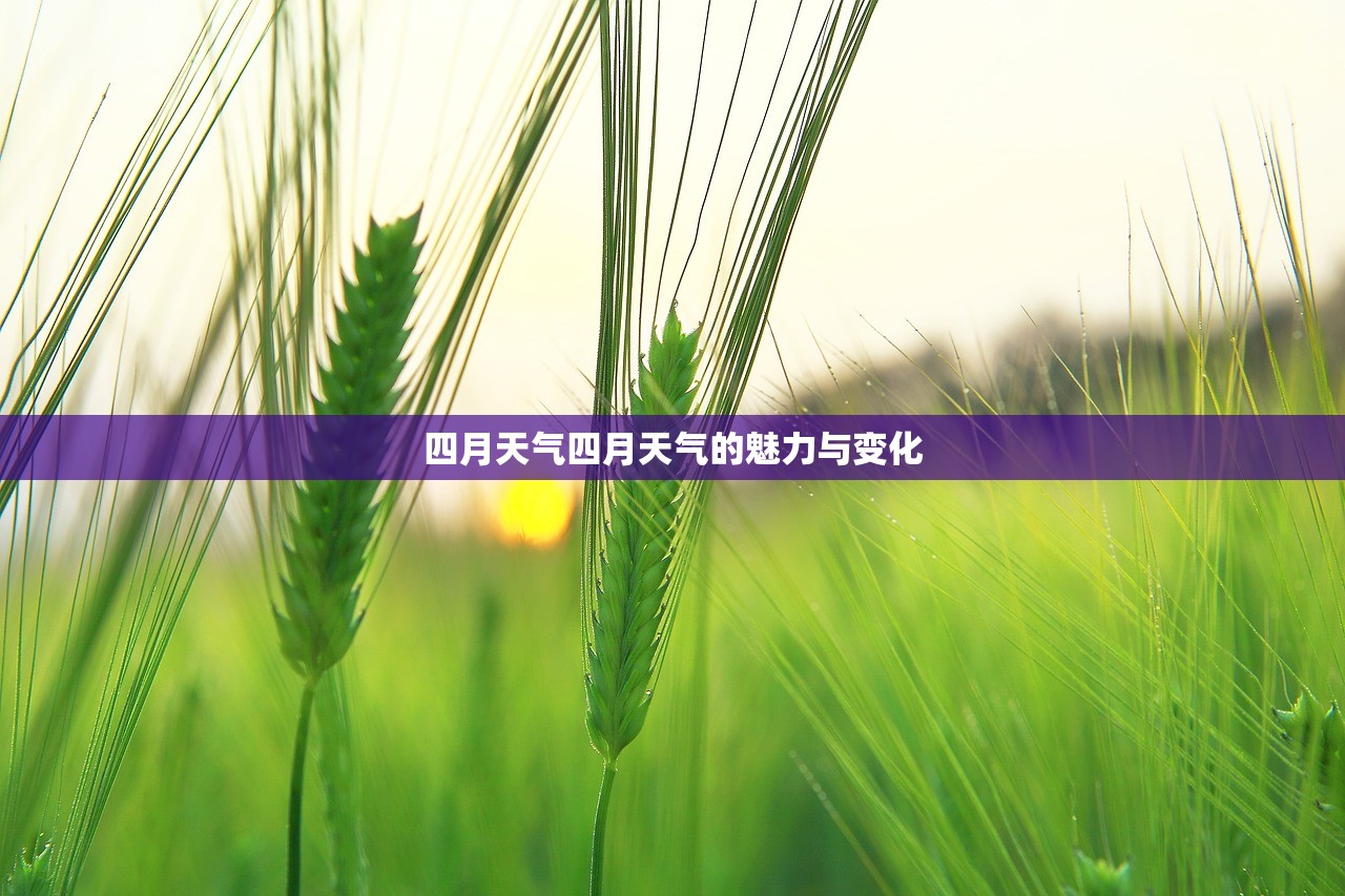 四月天气四月天气的魅力与变化  第1张