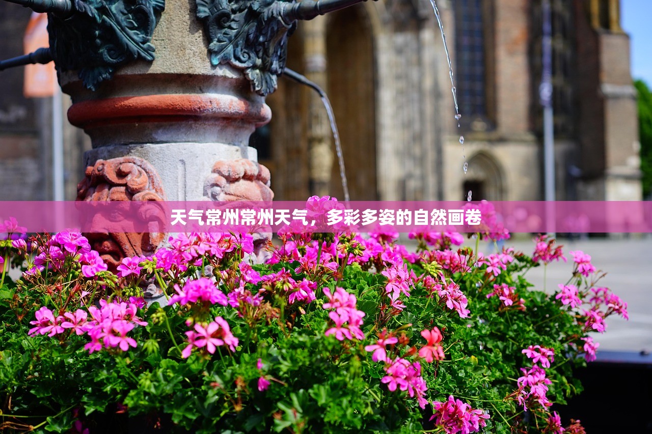 天气常州常州天气，多彩多姿的自然画卷  第1张