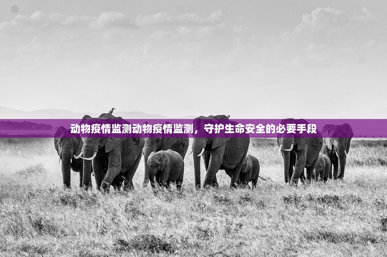 动物疫情监测动物疫情监测，守护生命安全的必要手段  第1张
