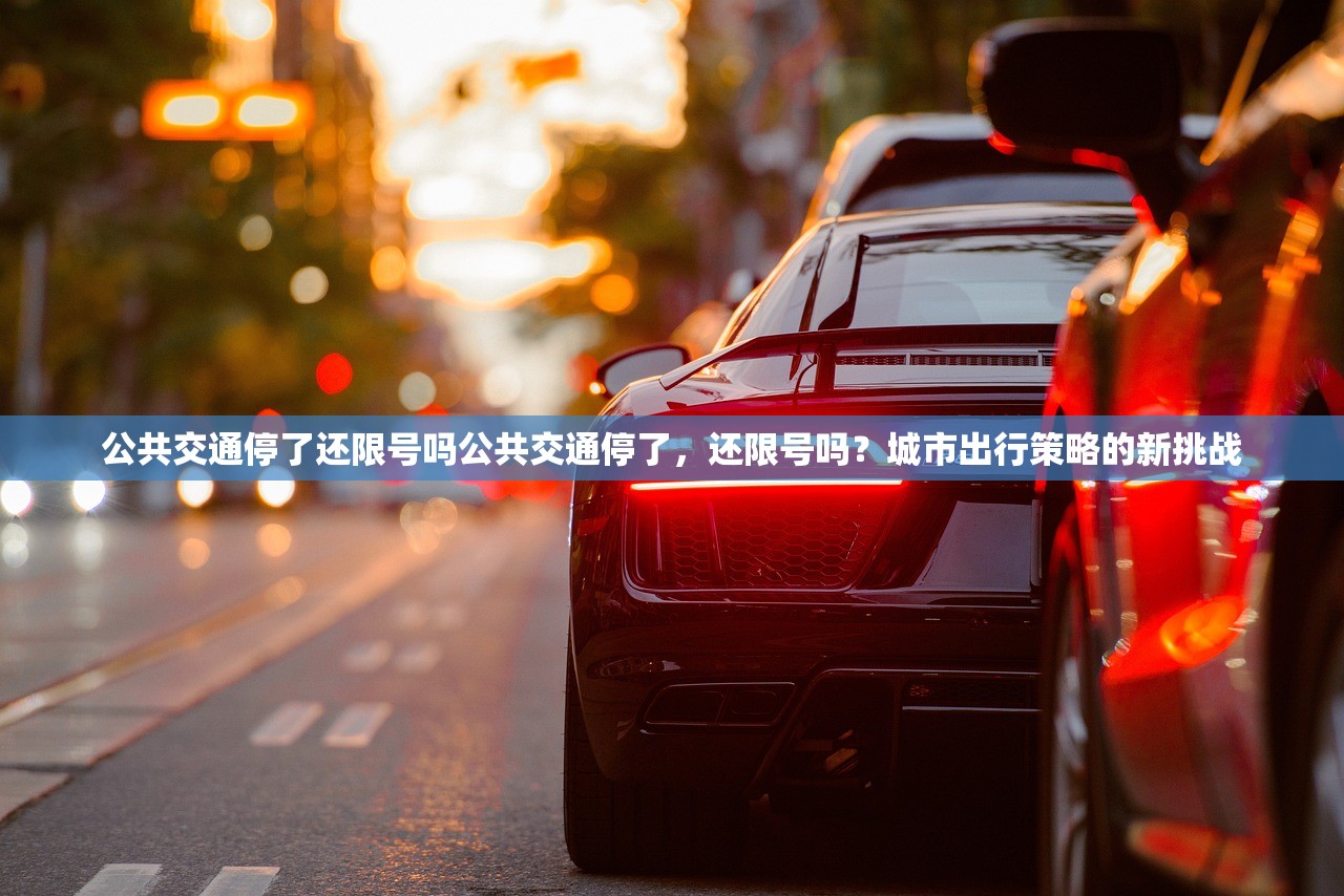 公共交通停了还限号吗公共交通停了，还限号吗？城市出行策略的新挑战  第1张