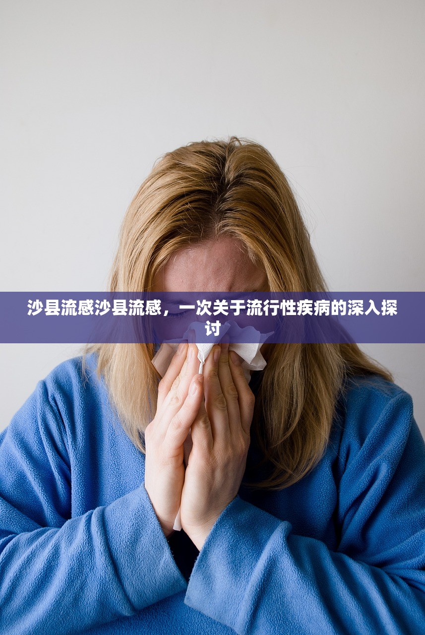 沙县流感沙县流感，一次关于流行性疾病的深入探讨  第1张