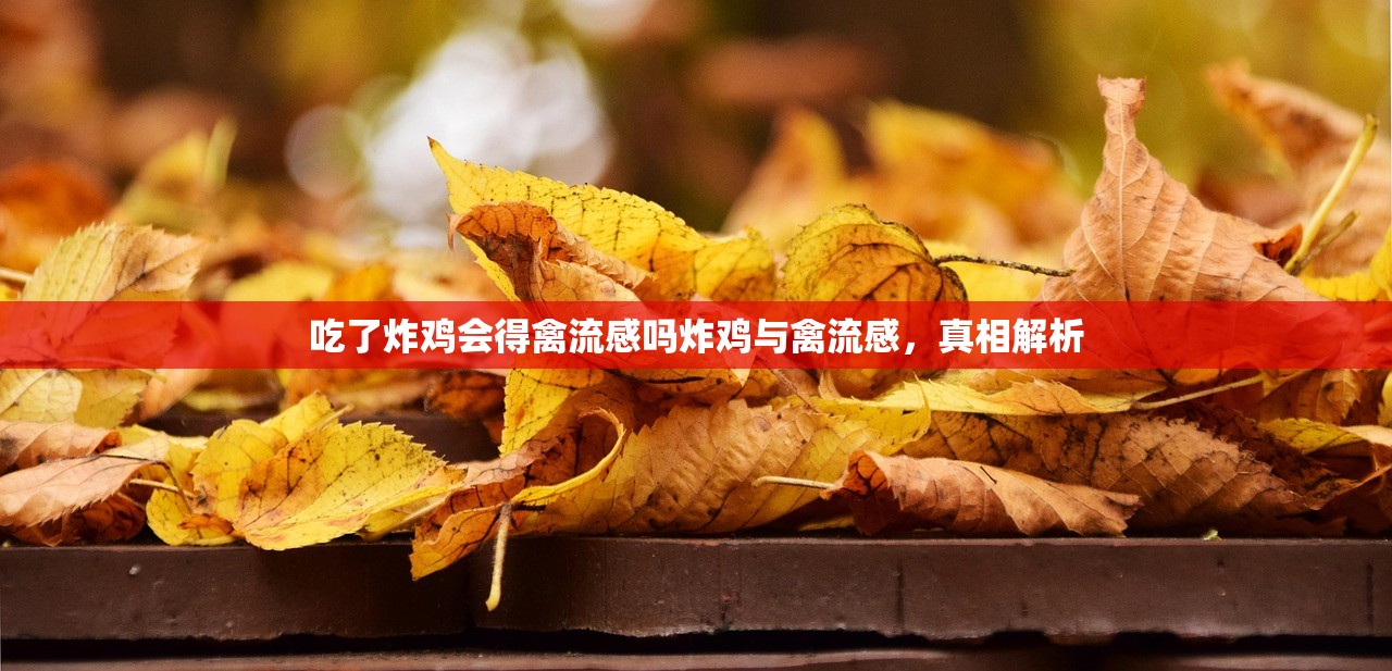 吃了炸鸡会得禽流感吗炸鸡与禽流感，真相解析  第1张