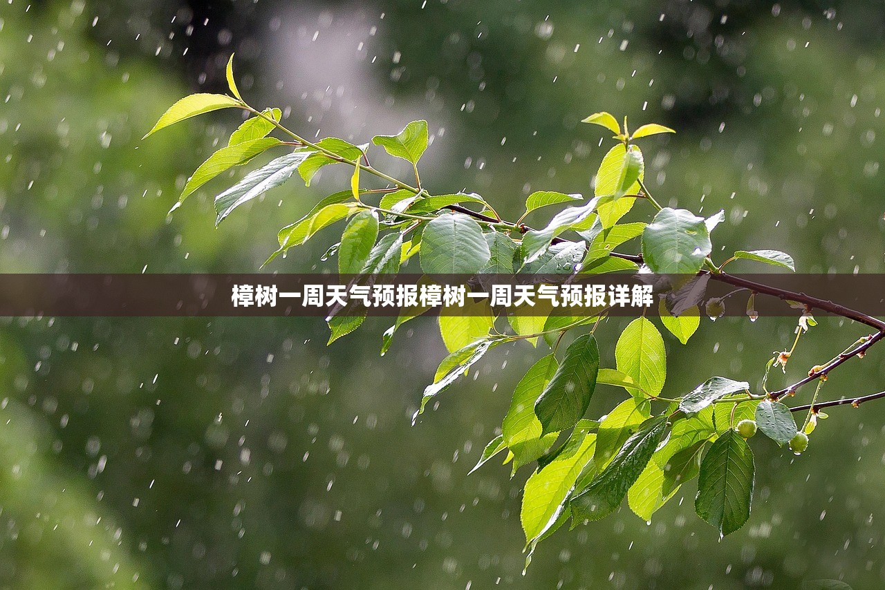 樟树一周天气预报樟树一周天气预报详解  第1张