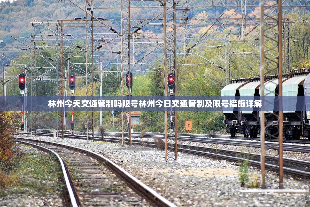 林州今天交通管制吗限号林州今日交通管制及限号措施详解  第1张