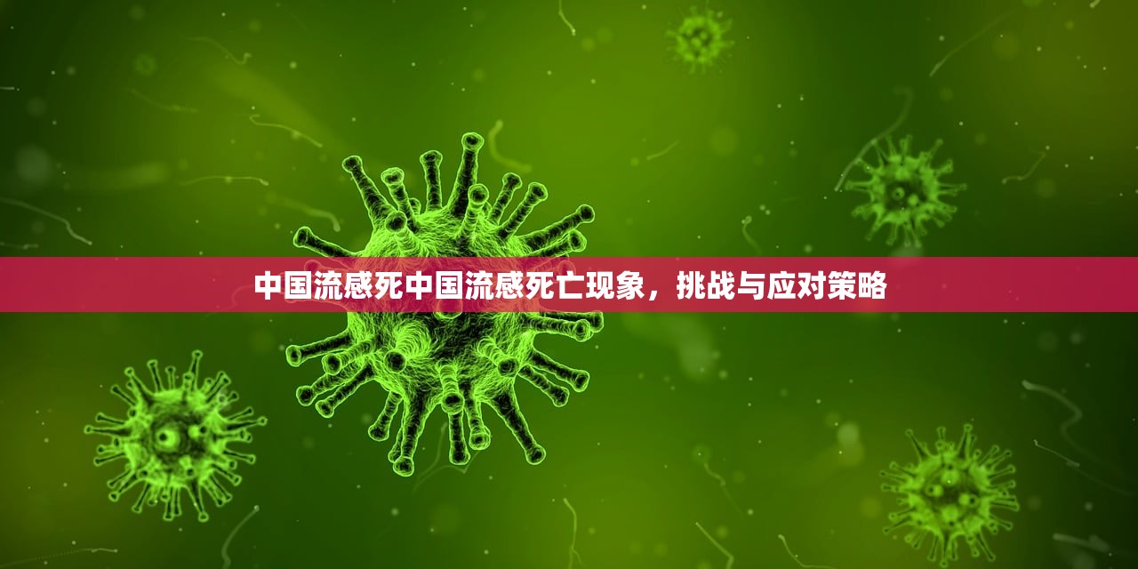 中国流感死中国流感死亡现象,挑战与应对策略 第1张 中国流感死中国流感死亡现象,挑战与应对策略 第1张