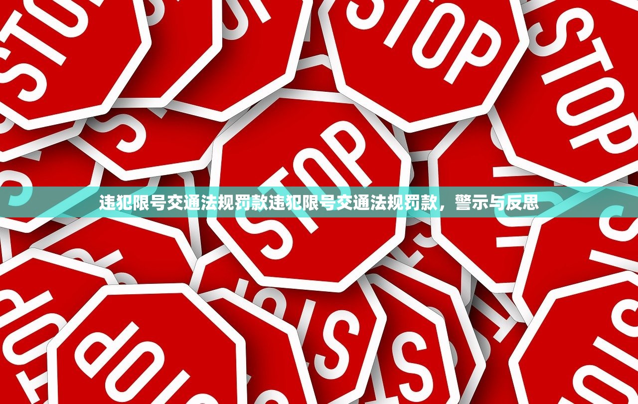 违犯限号交通法规罚款违犯限号交通法规罚款，警示与反思  第1张