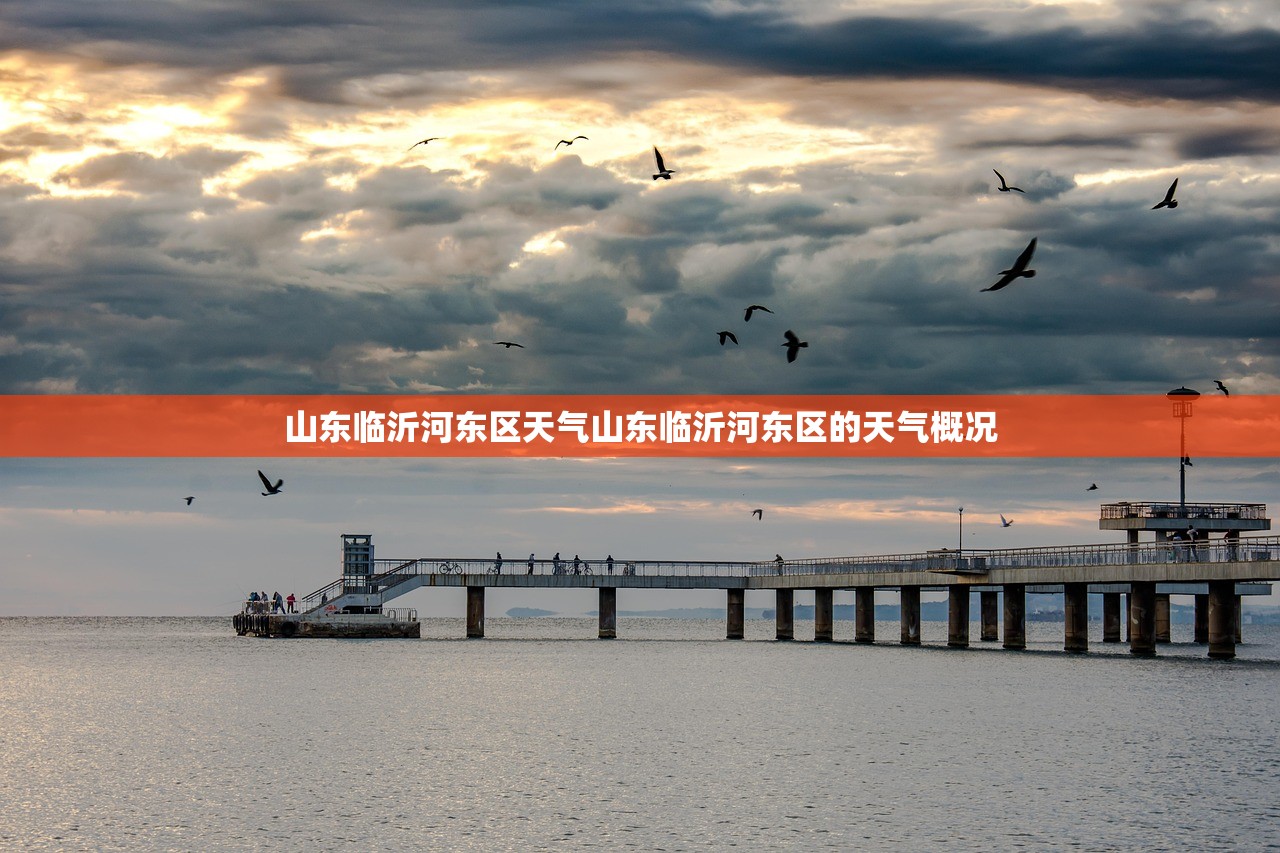 山东临沂河东区天气山东临沂河东区的天气概况  第1张