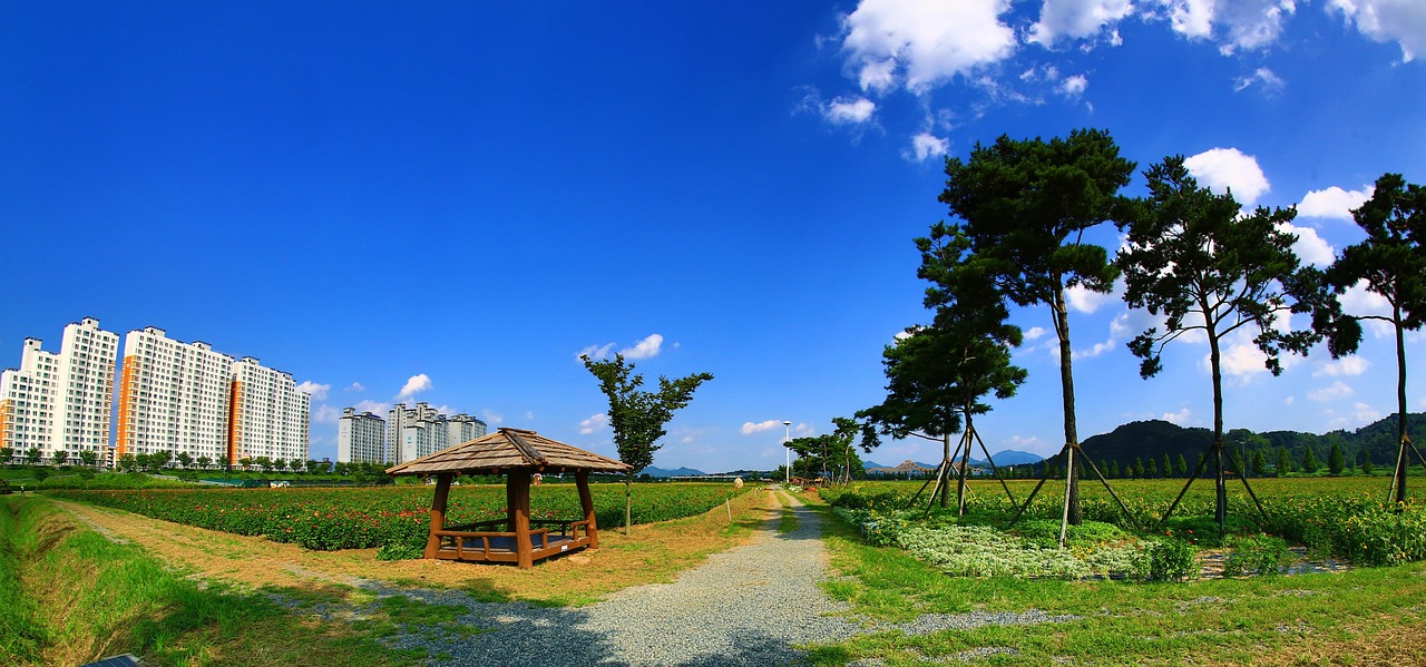 沧州市东光县天气沧州市东光县天气，多彩的季节与变幻的风云  第2张