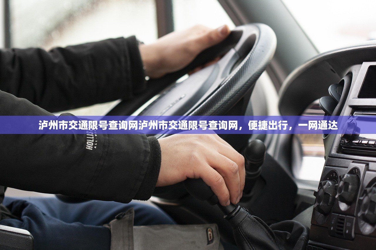 泸州市交通限号查询网泸州市交通限号查询网，便捷出行，一网通达  第1张