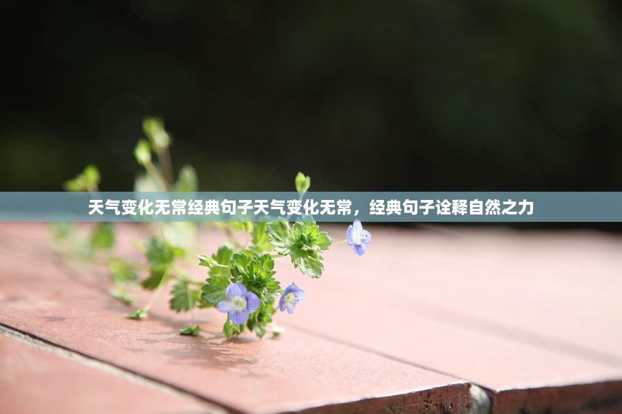 天气变化无常经典句子天气变化无常，经典句子诠释自然之力  第1张